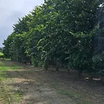 Tatil Evi Quinta De S. Domingos - Viseu