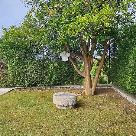Quinta De S. Domingos - Tatil Evi Viseu