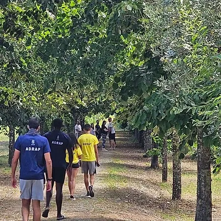 Quinta De S. Domingos - Tatil Evi *