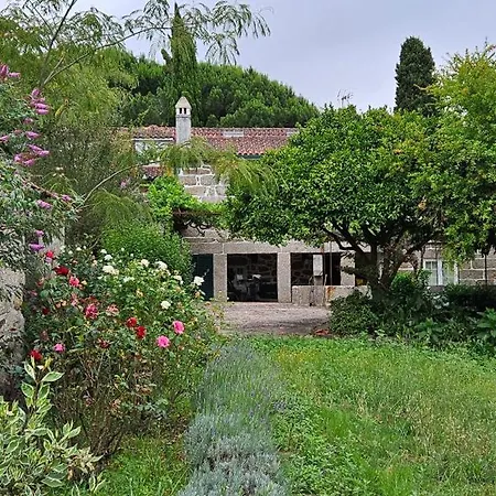 Quinta De S. Domingos - *