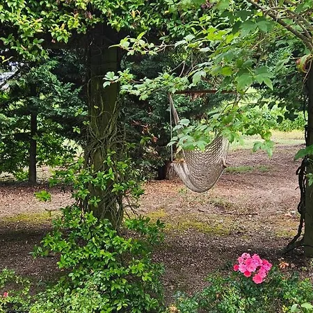 Quinta De S. Domingos - Viseu