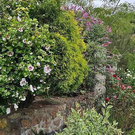 Quinta De S. Domingos - * Viseu