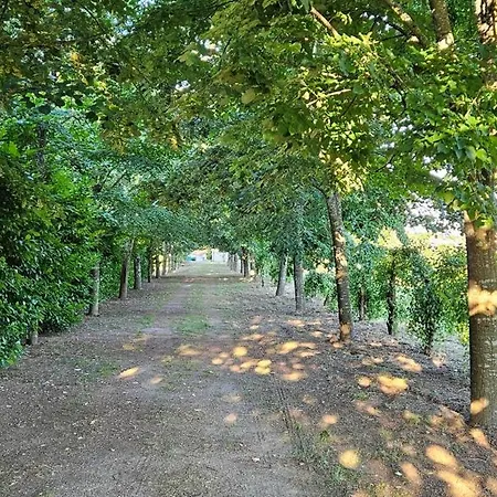 Quinta De S. Domingos -