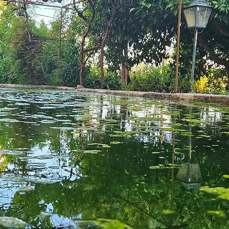 Quinta De S. Domingos - * Viseu