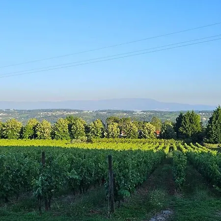 Quinta De S. Domingos - Tatil Evi Viseu