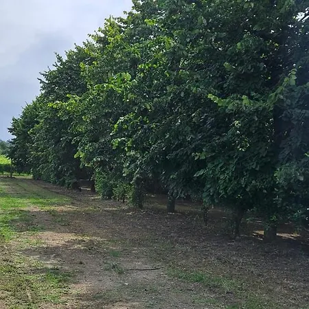 Tatil Evi Quinta De S. Domingos - Viseu