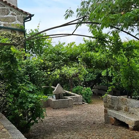 Quinta De S. Domingos - Tatil Evi Viseu