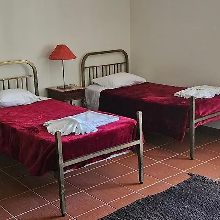 Quinta De S. Domingos - Tatil Evi Viseu