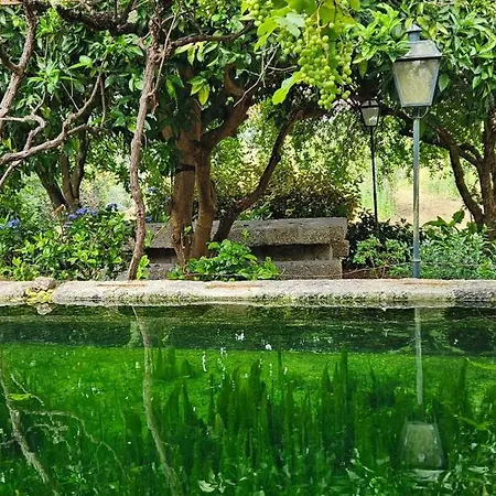 Prázdninový dům Quinta De S. Domingos -