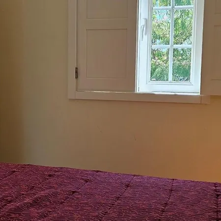 Quinta De S. Domingos - Prázdninový dům Viseu