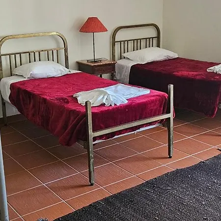 Quinta De S. Domingos - Viseu