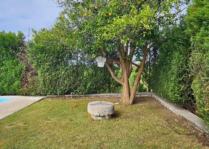 Quinta De S. Domingos - Casa vacanze Viseu