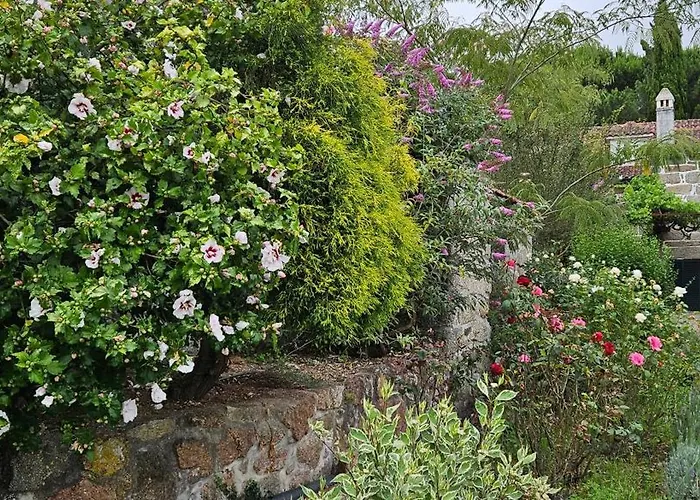 Quinta De S. Domingos - * Viseu