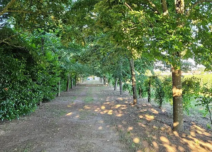 Quinta De S. Domingos -