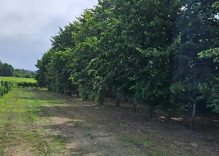 Casa vacanze Quinta De S. Domingos - Viseu