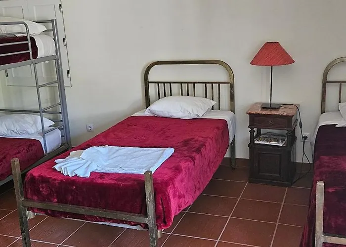 Casa vacanze Quinta De S. Domingos - Viseu