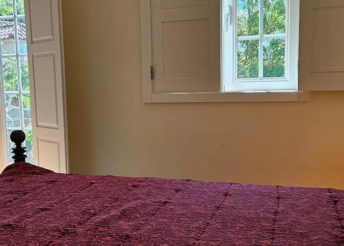 Quinta De S. Domingos - * Viseu