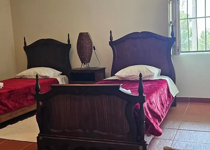 Casa vacanze Quinta De S. Domingos - Viseu